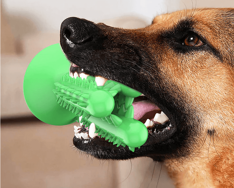 Stress-free Diy Dog Toothbrush
