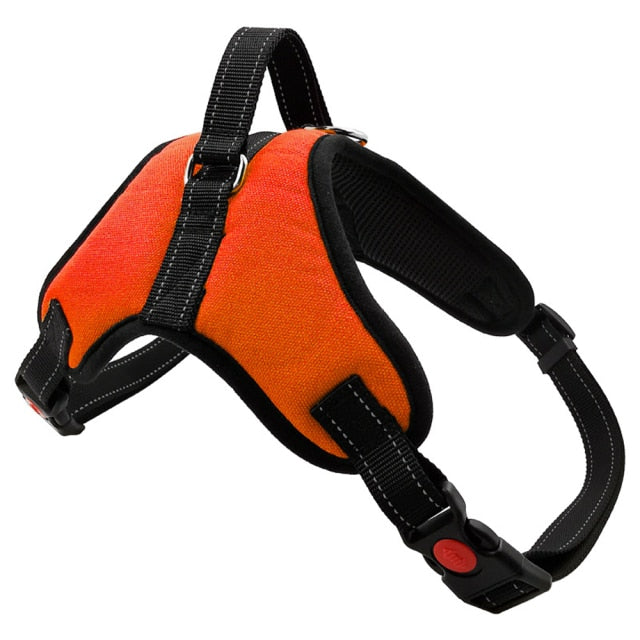 Pet Dog and Cat Adjustable Harness