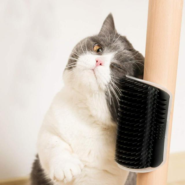 Cat Self Grooming Brush