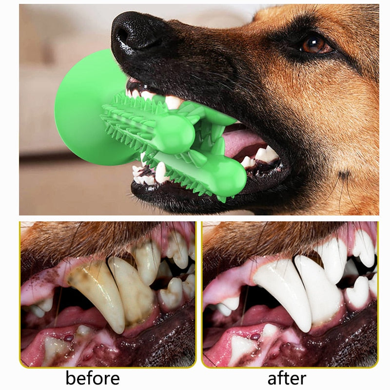 Stress-free Diy Dog Toothbrush